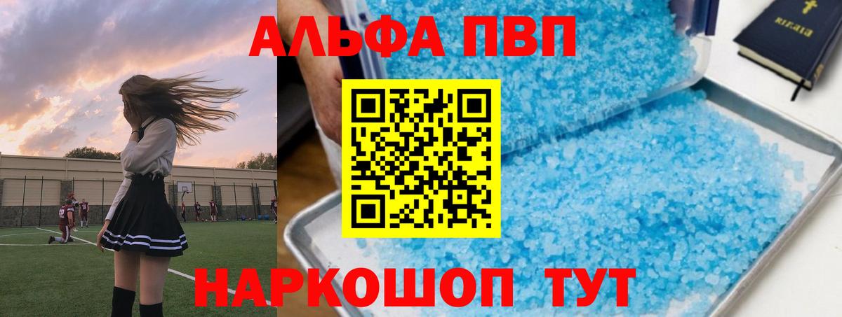 Alfa_PVP СК КРИС Урус-Мартан
