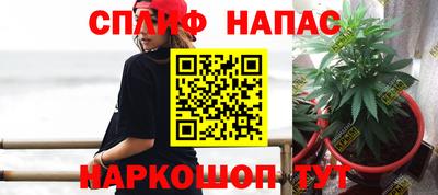 мдпв Можга