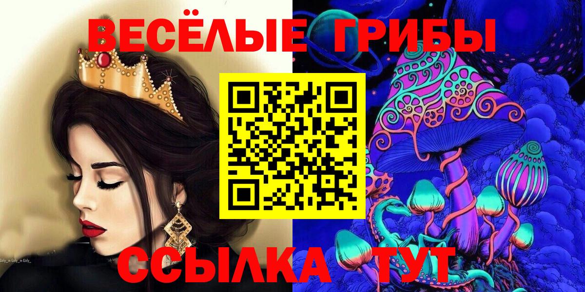 Псилоцибиновые грибы мицелий Урус-Мартан