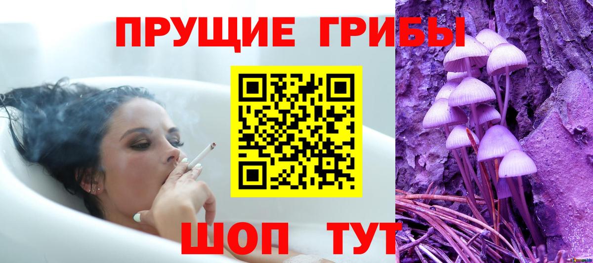 Урус-Мартан  Псилоцибиновые грибы прущие грибы  Вход с VPN 